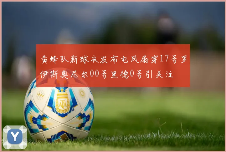 黄蜂队新球衣发布电风扇穿17号罗伊斯奥尼尔00号里德0号引关注